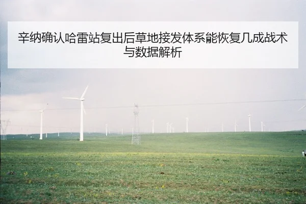 辛纳确认哈雷站复出后草地接发体系能恢复几成战术与数据解析